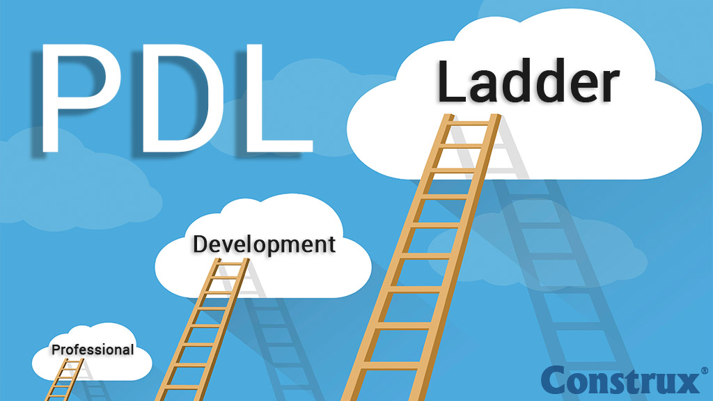 Professional Development Ladder—PDL Steve McConnell